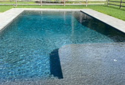 Inspiration Gallery - Pool Tanning Ledges - Image: 440